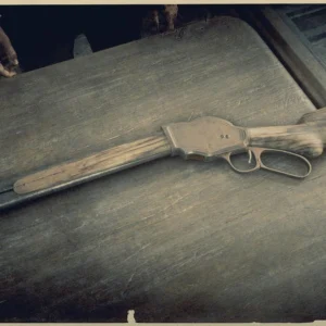 Repetidora Shotgun