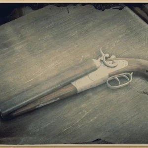 Shotgun SawedOFF
